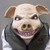 :iconEvilpigster: