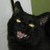 :iconevilpyecat: