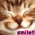 :iconevilsqueakykitty: