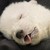 :iconevilsun06211999: