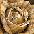 :iconevinconox: