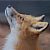 :iconevisione: