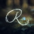 :iconevokenelenwe: