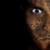 :iconEvolution1990: