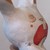 :iconevolvingfrommistakes: