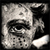 :iconevopi: