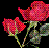:iconevrlife: