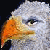 :iconevulee: