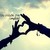 :iconewka0009: