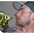 :iconewok73: