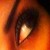 :iconex-kitten: