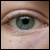 :iconexasperator: