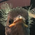 :iconexcalibur183:
