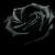 :iconexcandui: