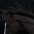:iconexceptional-equine: