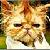:iconexceptionallystrange: