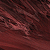 :iconexcipio: