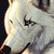 :iconExiled-Shiro-Kun: