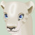 :iconexiledfullcircle: