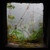 Exiledreamer :iconexiledreamer: