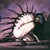 :iconexiles-fate: