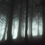 :iconexillon: