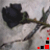 :iconexisttoexit: