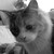 :iconexkremento-secko: