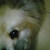 :iconexkrusion: