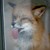 :iconexmitol: