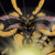:iconexodia92: