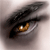 :iconexoticcat: