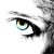 :iconexoticcat: