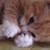 Experiment5949 :iconexperiment5949: