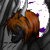 :iconexperiment777: