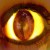 :iconexperimentfang345: