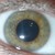 :iconexperimentm4: