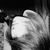 :iconexplicttoy: