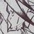 :iconexplorer-fam:
