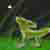 :iconexplosion12: