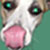:iconexporadica: