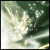 :iconExpress-ion: