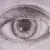 :iconexsandohs1: