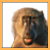 :iconExtasy-: