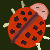 :iconextraartinary: