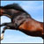 :iconextraordinaryx: