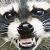 :iconExxvilun: