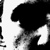 :iconexxxam: