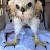 :iconeyasnestling: