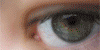 :iconeye-stocks: